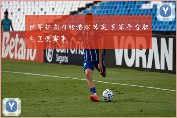世界杯国内转播权落定 多家平台联合呈现赛事
